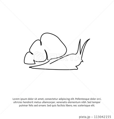 Snail one continuous line drawing. Cute decoration hand drawn elements. Vector illustration of minimalist style on a white background. Snail one continuous line drawing. Cute decoration hand drawn elements. Vector illustration of minimalist style on a white background. 113042155