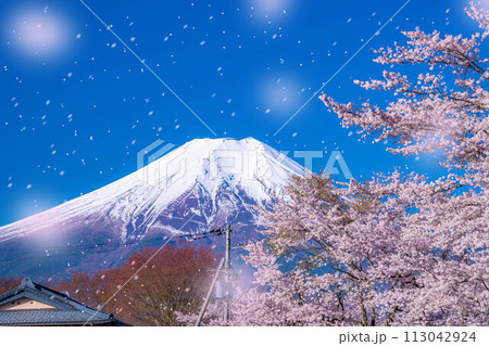 【桜吹雪】忍野村の桜と富士山と桜吹雪【山梨県】 113042924