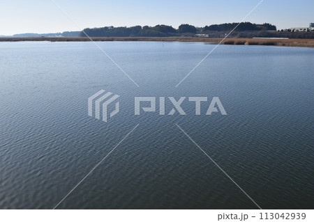 谷田川 牛久沼に流入 茨城県 113042939