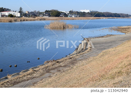 谷田川 牛久沼に流入 茨城県 谷田川 牛久沼に流入 茨城県 113042940