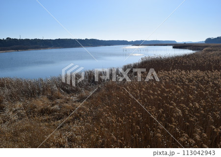 谷田川 牛久沼に流入 茨城県 113042943