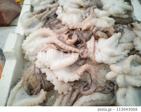 Cuttlefish in open seamarket 113043008