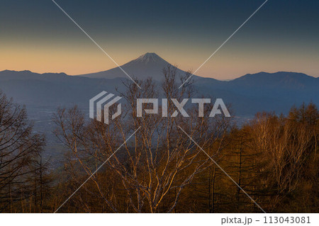 【マジックアワー】甘利山から見るマジックアワーの富士山【山梨県】 113043081