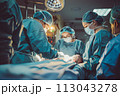 Team of Doctors Performing Surgery in Hospital 113043278