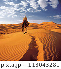 Person Riding Camel in Desert Landscape 113043281