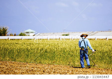 草刈りをする男性 草刈りをする男性 113043447
