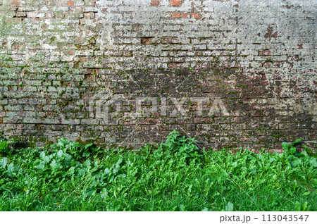 Old whitewashed brick wall Old whitewashed brick wall 113043547