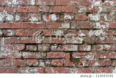 Closeup of old dirty brick wall Closeup of old dirty brick wall 113043548