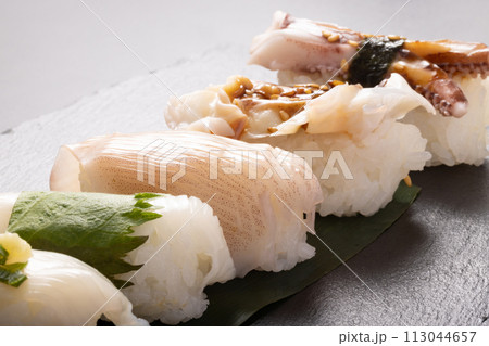 真いか づくし 寿司 真いか づくし 寿司 113044657