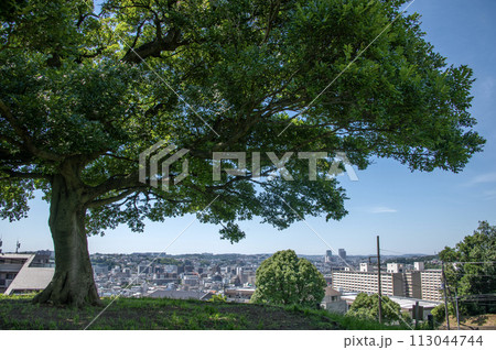 清水ヶ丘公園からの眺望 神奈川県横浜市南区清水ヶ丘 清水ヶ丘公園からの眺望 神奈川県横浜市南区清水ヶ丘 113044744
