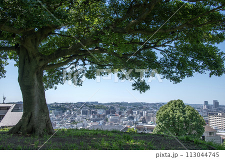 清水ヶ丘公園からの眺望 神奈川県横浜市南区清水ヶ丘 清水ヶ丘公園からの眺望 神奈川県横浜市南区清水ヶ丘 113044745