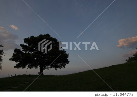 清水ヶ丘公園　夜明け前　　神奈川県横浜市南区清水ヶ丘 113044778