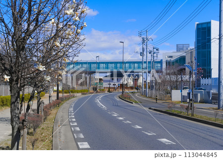 千葉県柏市柏の葉キャンパス駅周辺2024年3月 113044845