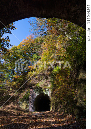 群馬県安中市の秋　紅葉のアプトの道　歴史あるトンネル 113044865