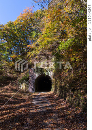 群馬県安中市の秋　紅葉のアプトの道　歴史あるトンネル 113044868