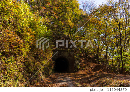 群馬県安中市の秋 紅葉のアプトの道 歴史あるトンネル 群馬県安中市の秋 紅葉のアプトの道 歴史あるトンネル 113044870