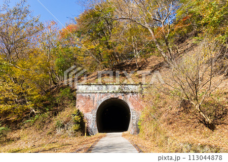 群馬県安中市の秋　紅葉のアプトの道　歴史あるトンネル 113044878