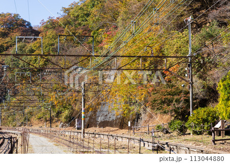 群馬県安中市の秋　紅葉のアプトの道　旧熊ノ平駅 113044880