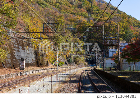 群馬県安中市の秋 紅葉のアプトの道 旧熊ノ平駅 群馬県安中市の秋 紅葉のアプトの道 旧熊ノ平駅 113044883