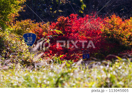 群馬県安中市の秋　紅葉のアプトの道 113045005