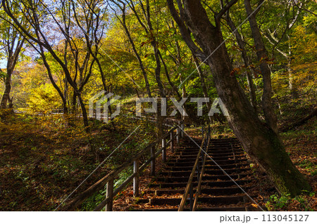 群馬県安中市の秋 紅葉のアプトの道 碓氷第三橋梁(めがね橋) 群馬県安中市の秋 紅葉のアプトの道 碓氷第三橋梁(めがね橋) 113045127
