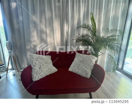 Interior of a living room with red sofa and white pillows in front of the window with plant 113045295