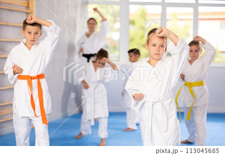 Group of children in kimono trying new martial moves at karate class Group of children in kimono trying new martial moves at karate class 113045685