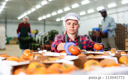 Woman in apron evaluating quality of vegetables in storage 113045772