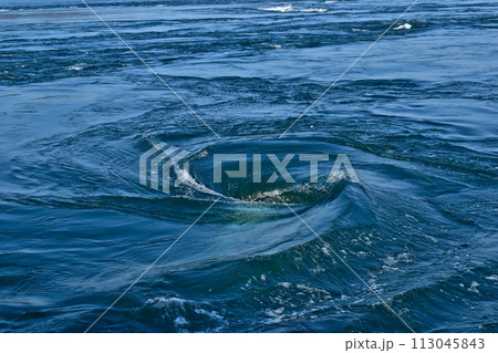 徳島 兵庫 渦潮 うずしおクルーズ 渦潮クルーズ 鳴門海峡 大鳴門橋 徳島 兵庫 渦潮 うずしおクルーズ 渦潮クルーズ 鳴門海峡 大鳴門橋 113045843