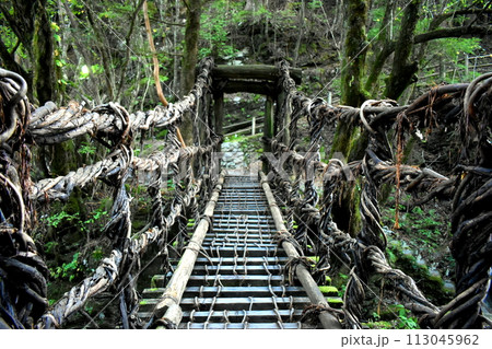 徳島 かずら橋 奥祖谷二重かずら橋 徳島 かずら橋 奥祖谷二重かずら橋 113045962