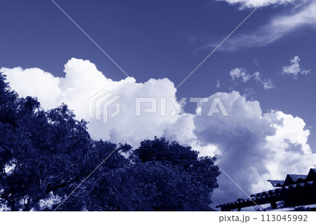 サンパウロ州の夏の雲と青空 ブラジル サンパウロ州の夏の雲と青空 ブラジル 113045992
