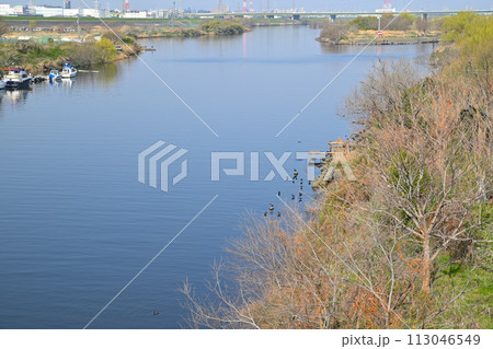 春の陽気　荒川本流　新大宮バイパス笹目橋からの眺め　春の風景 113046549