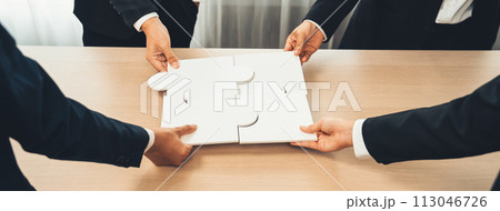 Panorama banner of business team assembling jigsaw puzzle. Shrewd 113046726