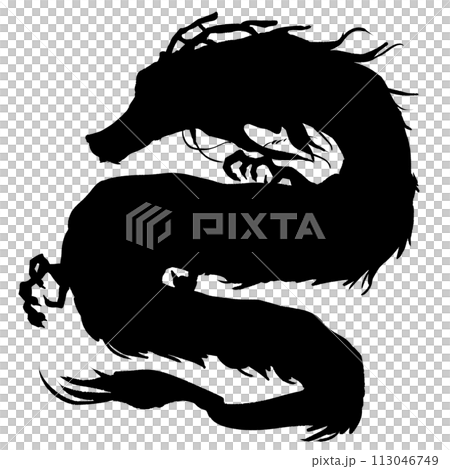 かっこいいシルエットの龍 113046749