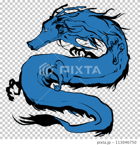 かっこいい龍のイラスト 113046750