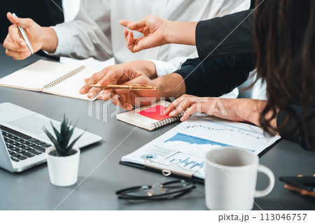 Data analysts team of office worker collaborate on Bi dashboard. Prudent Data analysts team of office worker collaborate on Bi dashboard. Prudent 113046757