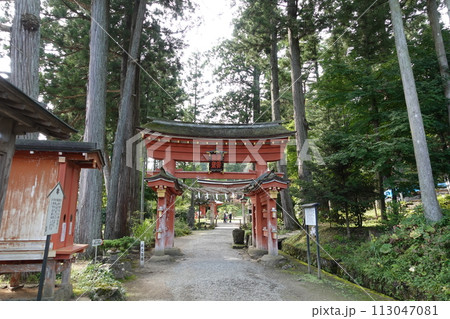 岩手平泉町 達谷西光寺毘沙門堂鳥居 113047081