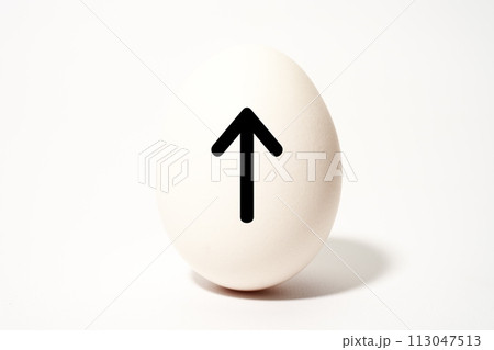 白い玉子の記号文字のイメージ素材 113047513