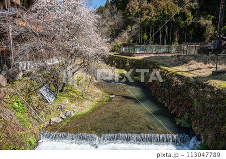 春の京都洛北鞍馬川の風景 113047789