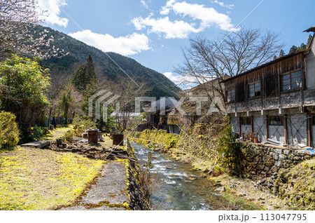春の京都洛北鞍馬川の風景 113047795