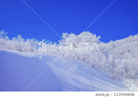 雪原と霧氷 雪原と霧氷 113048686