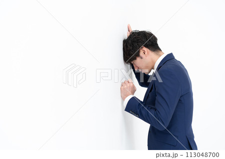 ビジネスマン　悩む 113048700