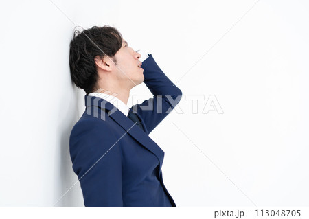 ビジネスマン　悩む 113048705