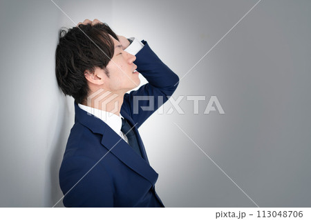 ビジネスマン　悩む 113048706