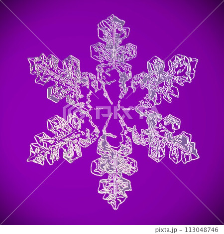 雪の結晶 顕微鏡観察スケッチ 周辺減光 113048746