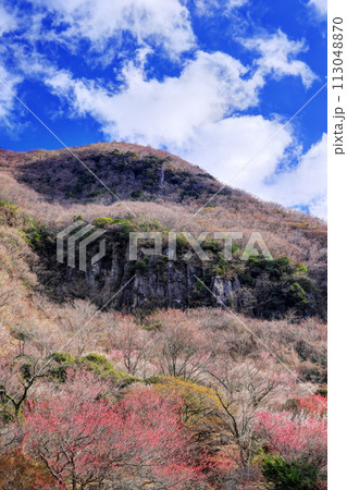 幕岩と湯河原梅林 幕岩と湯河原梅林 113048870