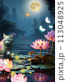神秘的な泉 113048925