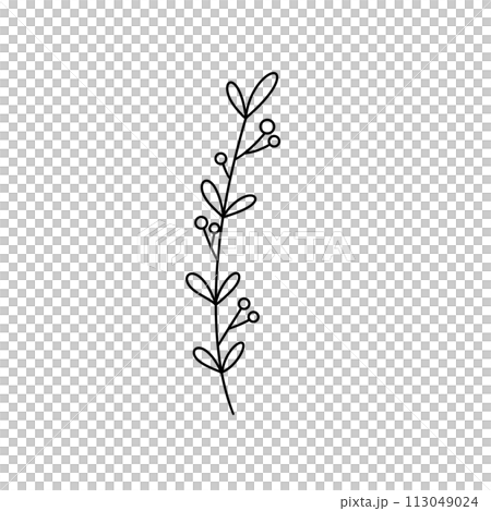 A thin, long, leafy stem with a few small flowers on it 113049024