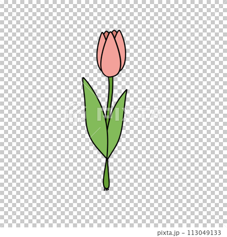 A pink flower with green leaves 113049133