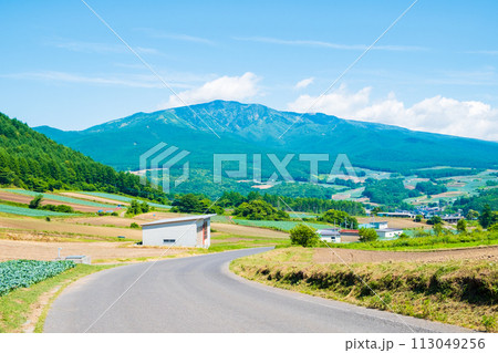 嬬恋村から望む四阿山 嬬恋村から望む四阿山 113049256